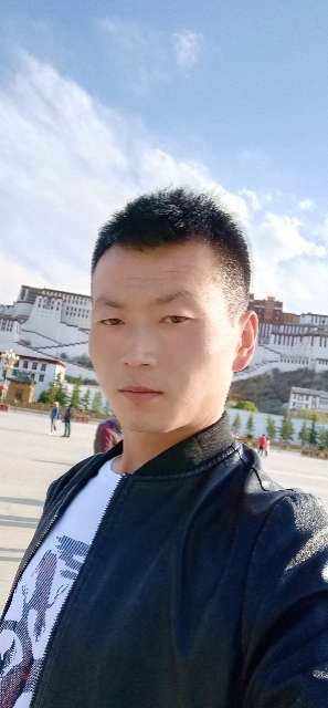 阳光下的小草的第二张照片--甘肃蓝颜知己交友网